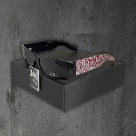 Locs Sunglasses